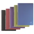 Cahier spirale A4 Linicolor Intense - 180 pages - Clairefontaine photo du produit