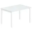 Bureau BRUXELLES 120 x 80 gris - piedsblancs photo du produit