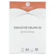Ramette de 500 feuilles papier couleurs vives A4 Executive Colors - Orange - FIDUCIAL photo du produit