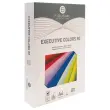 Ramette de 500 feuilles papier couleurs vives A4 Executive Colors - Vert - Fiducial photo du produit