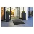 Tapis d'accueil extérieur Capture antidérapant - L 90 x l 150 cm photo du produit