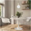 Table ronde diam 116 cm plateau noyer pied blanc pied tulipe photo du produit