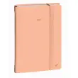 Agenda journalier DAILY 21 COLOR ML Pastel - 15x21 cm - Orange - Janvier à décembre - QUO VADIS photo du produit