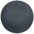 Ballon assise ergonomique Ergo Cosy Active - &Oslash;  65 cm - Noir - Leitz photo du produit