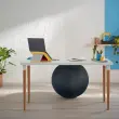 Ballon assise ergonomique Ergo Cosy Active - &Oslash;  65 cm - Noir - Leitz photo du produit