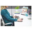 Souris ergonomique sans fil penguin grand modèle photo du produit