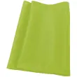 Textile couleur pour AP 30 PRO Vert photo du produit
