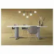 Table r&eacute;union ovale 200x120 ch&ecirc;ne vein&eacute;/blanc photo du produit