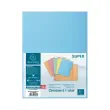 100 Chemises 1 rabat 160 g carte qualit&eacute; sup&eacute;rieure PEFC - couleurs pastel photo du produit