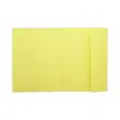 Lot de 100 Chemises 1 rabat 160 g carte qualité supérieure PEFC - couleurs pastel jaune photo du produit