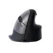 R-Go HE Souris ergonomique verticale sans fil droitier modèle grand photo du produit