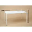 Table rectangulaire 140x90 cm MAHAUT décore FLOREAL recyclée photo du produit
