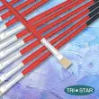 Pinceau plat pour peinture acrylique et huile - En soie - N°12 - OZ International photo du produit