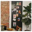 Revêtement mural adhésif Ferflex - 2 m x 60 cm - Magnétique - Noir photo du produit