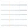 40 Cahiers à spirales A4 séyès 180 feuilles de 70g/m² - FIDUCIAL photo du produit