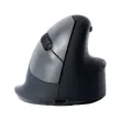 Souris egonomique sans fil droit photo du produit