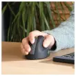Souris egonomique sans fil droit photo du produit