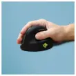 Souris egonomique sans fil droit photo du produit
