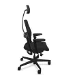 Siège DUO BACK ergonomique synchrone noir photo du produit