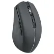 Souris gradient Dual Connect noire photo du produit