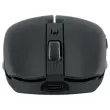 Souris gradient Dual Connect noire photo du produit
