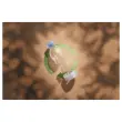 Rouleau adhésif transparent Tesafilm® Eco & Crystal 33mx19mm photo du produit