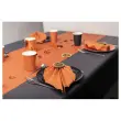 20 Assiettes en carton rondes Ø23 cm Noir- Pro Nappe photo du produit