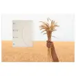10 Chemise Smartfolder Uno Tree-free DJOIS - Beige photo du produit