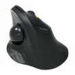 Souris sans fil Bluetooth rechargeableERGO Trackball - Noir photo du produit