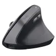 Souris egonomique BAYO II sans fil - Noire photo du produit