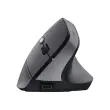 Souris egonomique BAYO II sans fil - Noire photo du produit