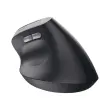 Souris egonomique BAYO II sans fil - Noire photo du produit