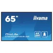 Ecran 65" Iiyama + support mobile à roulettes photo du produit