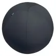 Ballon lest&eacute; assise ergonomique - Diam&egrave;tre 75 cm - Gris - Leitz photo du produit