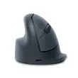 Souris ergonomique sans fil - Gaucher - Bluetooth - Gris - R-Go photo du produit