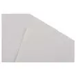 300 Serviettes de table blanches papier 2 plis - Fiducial photo du produit