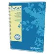 Cahier A4 recycl&eacute; "Forever"  - 5x5 - 70g - Calligraphe photo du produit