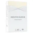 Ramette de 500 feuilles papier couleurs pastel A3 Executive Colors - Bulle - FIDUCIAL photo du produit
