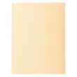 Paquet de 100 chemises Forever&reg; 220 100% recycl&eacute; - 24x32cm - Bulle - EXACOMPTA photo du produit