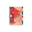 Intercalaires imprimés mensuels PP couleurs Janv-Décembre - A4 - EXACOMPTA photo du produit