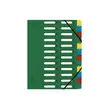 Trieur HARMONIKA® à fenêtres avec élastiques véritable carte lustrée 24 compartiments - Vert - EXACOMPTA photo du produit