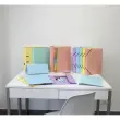 Trieur avec élastiques - 12 compartiments- 34 x 24,5 cm - Coloris pastel - EXACOMPTA photo du produit