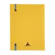 Carnet Iderama lign&eacute; - 22 x 17 cm - 192 pages - Jaune - FSC&reg; - Exacompta photo du produit