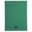 REG IDERAMA 220x170 192P LIGNE VERT FSC® photo du produit