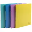 Classeur 2anx 15 mm PP A4 Forever Young - Exacompta photo du produit