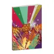 CARNET 21 ligne Jungle arc ciel CR elast photo du produit