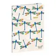 CARNET 21 d-lig Fly graphic Rase vif photo du produit