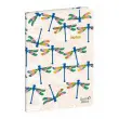CARNET 21 d-lig Fly graphic Rase vif photo du produit