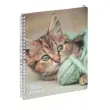Cahier de textes Animaux Chaton photo du produit