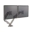 FELLOWES EPPADUAL ARGENT photo du produit